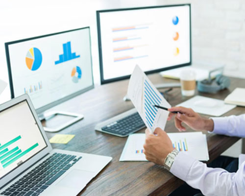 Data Analysis & Interpretation Support